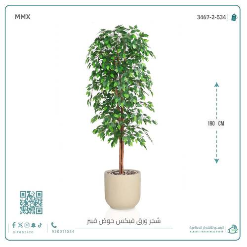 شجرة ورق فيكس اصطناعية بمركن فيبر  أسطواني