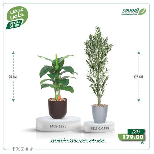 عرض شجرة زيتون صناعية ( ارتفاع 175 سم ) + شجرة ورق موز صناعية ( ارتفاع 75 سم ) حوض بلاستيك