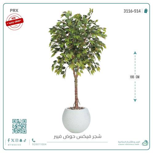 شجرة فيكس صناعية بحوض فيبر