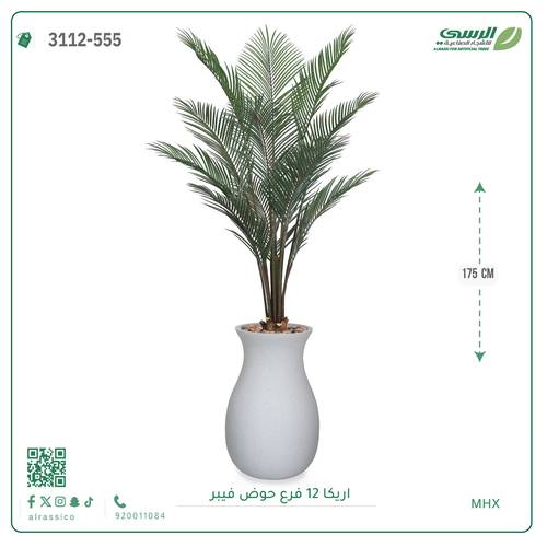 شجر أريكا صناعية ( ارتفاع 175 سم ) حوض فيبر
