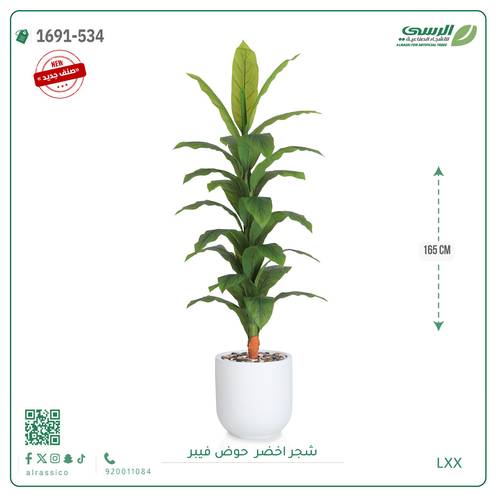 شجرة ورق أخضر وسط بمركن فيبر اسطوانى 