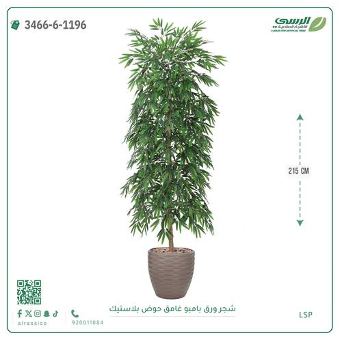 شجرة بامبو صناعية ( ارتفاع 215 سم ) حوض بلاستك
