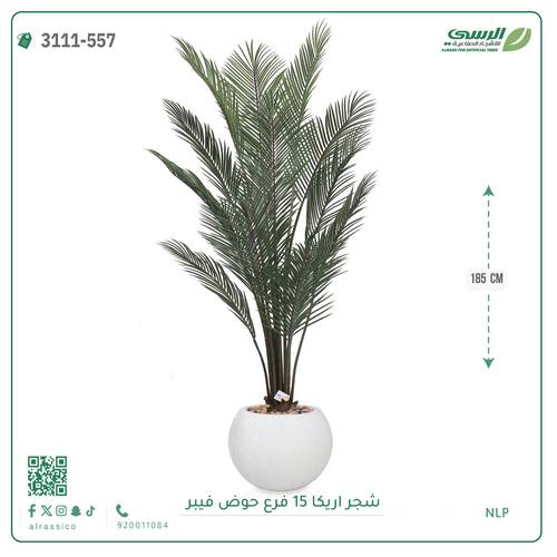 شجرة أريكا صناعية ( ارتفاع 185 سم ) حوض فيبر