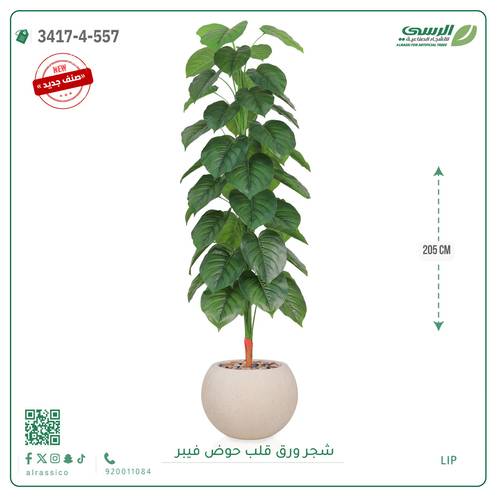شجرة ورق قلب اصطناعية ( ارتفاع 205 سم ) حوض فيبر