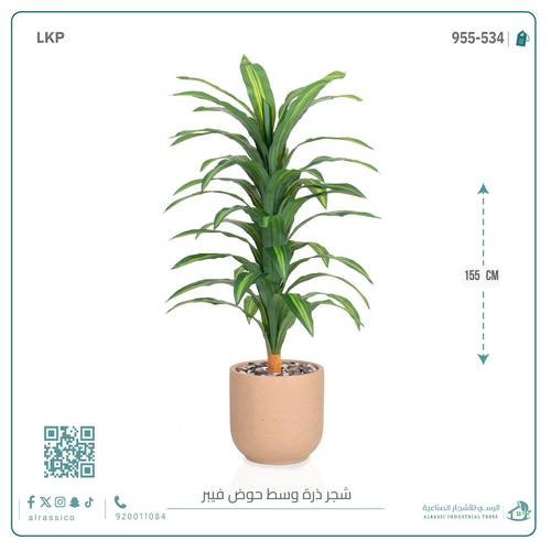  شجرة نبات الذرة (دراسينا) الاصطناعية كبيرة بمركن فيبر  أسطواني 