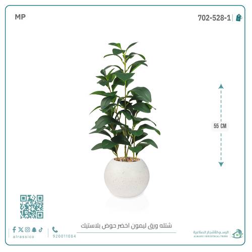  شتلة ورق ليمون اصطناعية بمركن بلاستيك دائري