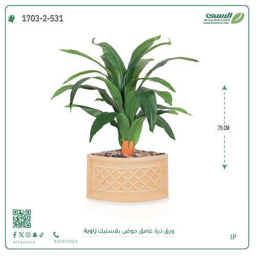  شجرة ورق ذرة فاتح بمركن بلاستيك زاوية 