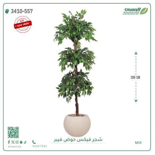 شجر فيكس صناعية ( ارتفاع 200 سم ) حوض فيبر