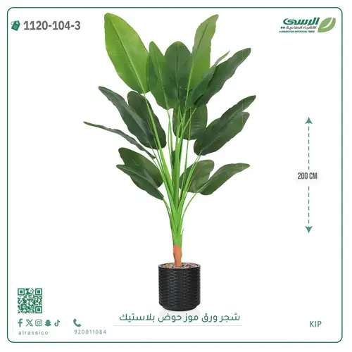 شجرة موز صناعية ( ارتفاع 200 سم ) حوض بلاستيك