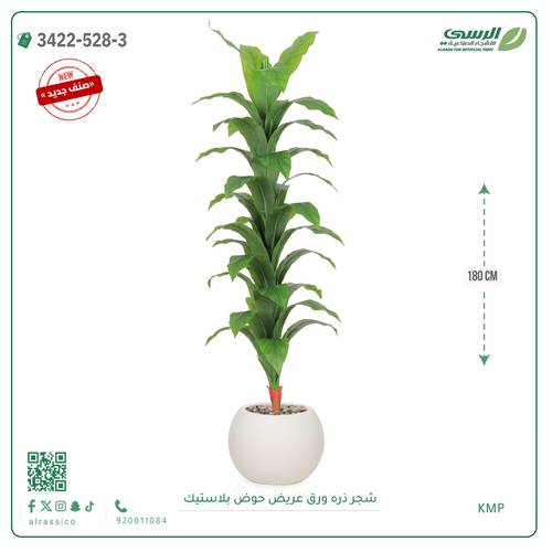 شجرة ذرة صناعية ( ارتفاع 180 سم ) حوض بلاستيك دائري