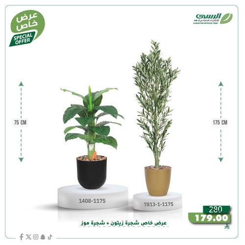 عرض شجرة زيتون صناعية ( ارتفاع 175 سم ) + شجرة ورق موز صناعية ( ارتفاع 75 سم ) حوض بلاستيك