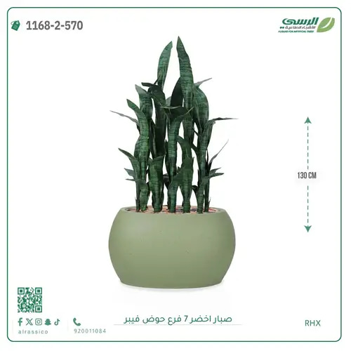 صبار صناعية ( ارتفاع 130 سم ) حوض فيبر