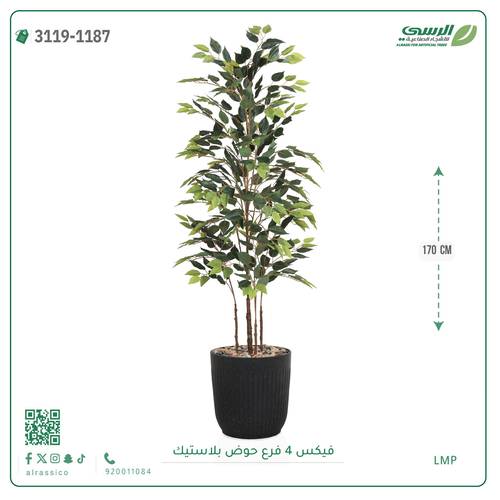 شجر فيكس صناعية ( ارتفاع 170 سم ) حوض بلاستك