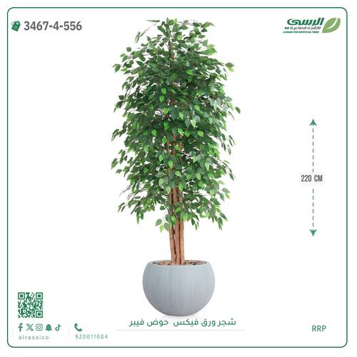 شجرة فيكس اصطناعية ( ارتفاع 220 سم ) حوض فايبر