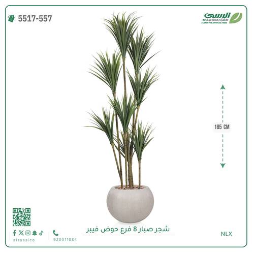 شجرة صبار صناعية ( ارتفاع 185 سم ) حوض فيبر مقلم