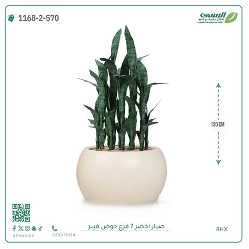 صبار صناعية ( ارتفاع 130 سم ) حوض فيبر