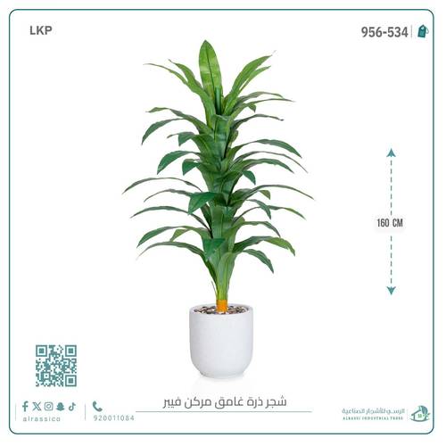 شجرة نبات الذرة (دراسينا) الاصطناعية بمركن فيبر أسطواني