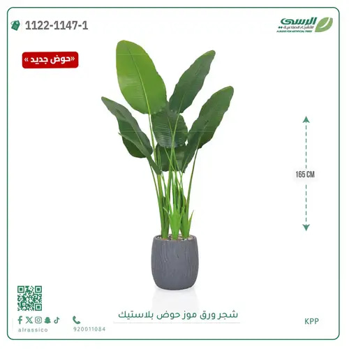 شجرة موز صناعية ( ارتفاع 165 سم ) حوض بلاستيك