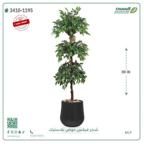 شجر فيكس صناعية ( ارتفاع 200 سم ) حوض بلاستك