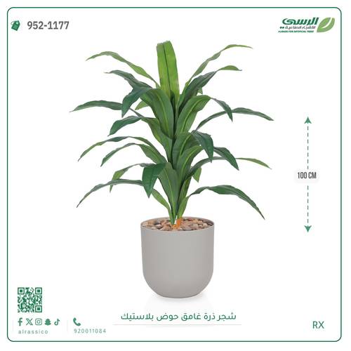  شجرة ذرة غامق بمركن بلاستيك أسطواني