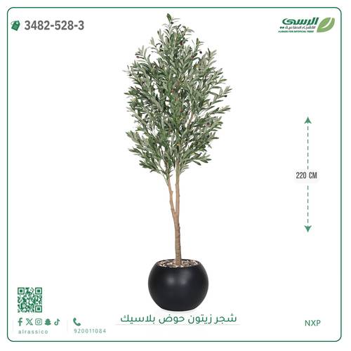 شجرة زيتون صناعية ( ارتفاع 220 سم ) حوض بلاستك