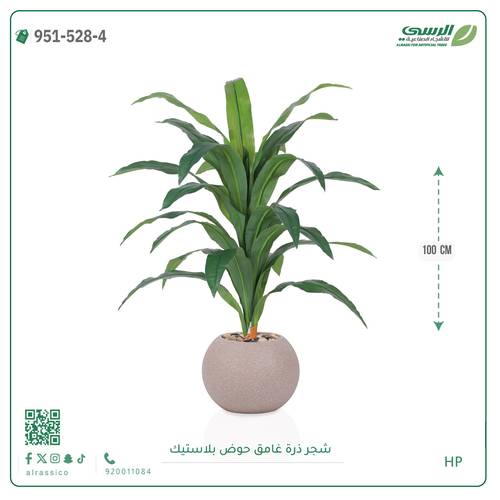  شجرة ذرة غامق بمركن بلاستيك دائرى 