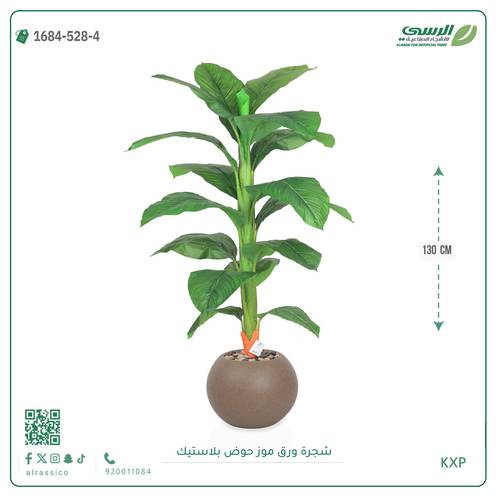 شجرة ورق موز متوسطة بمركن بلاستيك دائرى 