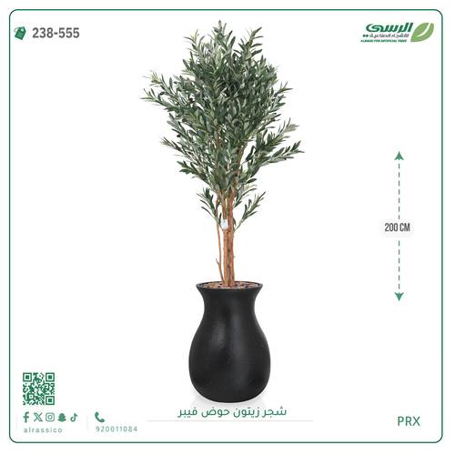 شجرة زيتون صناعية ( ارتفاع 200 سم ) حوض فيبر