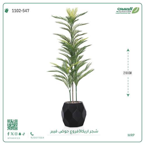 شجرة أريكا اصطناعية (3 فرع) بمركن فيبر