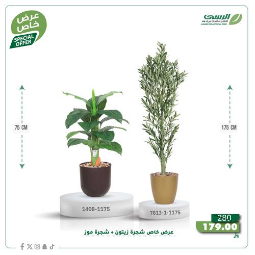 عرض شجرة زيتون صناعية ( ارتفاع 175 سم ) + شجرة ورق موز صناعية ( ارتفاع 75 سم ) حوض بلاستيك