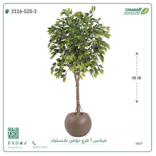 شجرة فيكس صناعية ( ارتفاع 185 سم ) حوض بلاستيك