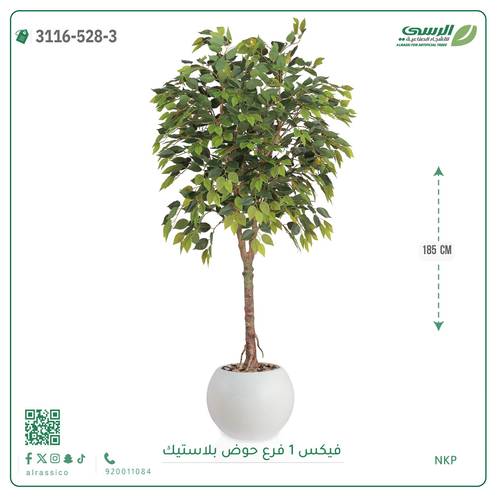 شجرة فيكس صناعية ( ارتفاع 185 سم ) حوض بلاستيك