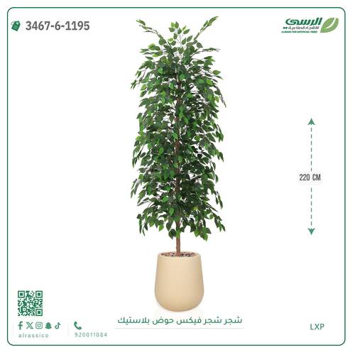 شجرة فيكس صناعية ( ارتفاع 220 سم ) حوض بلاستك