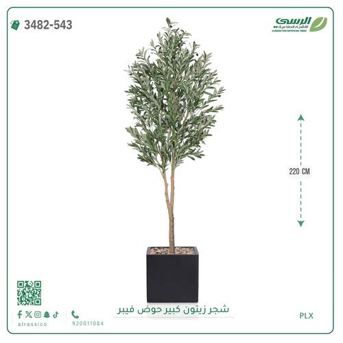 شجرة زيتون صناعية ( ارتفاع 220 سم ) حوض فيبر