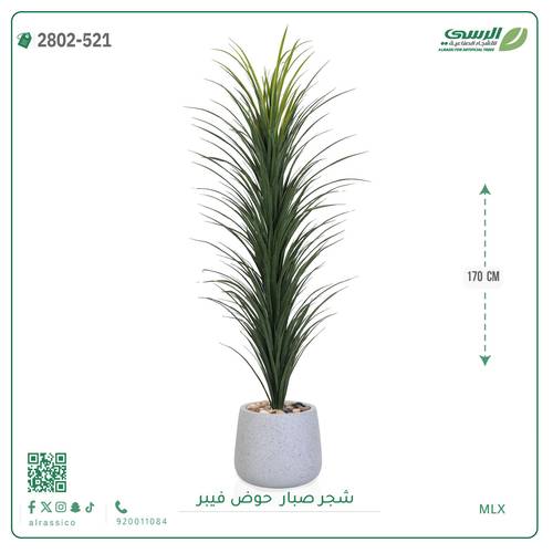 شجرة صبار صناعية ( ارتفاع 170 سم ) حوض فيبر