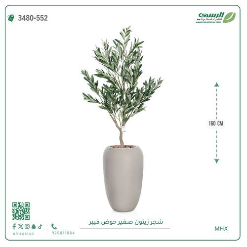  شجرة زيتون اصطناعية صغيرة بمركن فيبر اسطوانى 