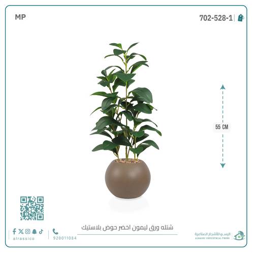  شتلة ورق ليمون اصطناعية بمركن بلاستيك دائري