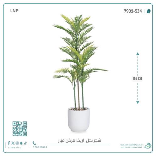 نخل أريكا اصطناعية (3 فرع) بمركن فيبر  أسطواني