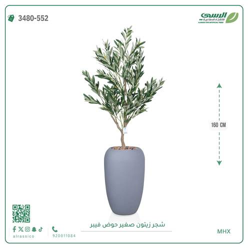  شجرة زيتون اصطناعية صغيرة بمركن فيبر اسطوانى 