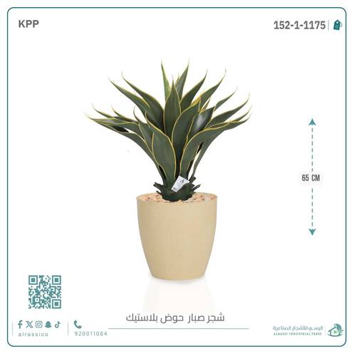 صبار ذيل الثعلب الصناعي بمركن بلاستيك اسطوانى 