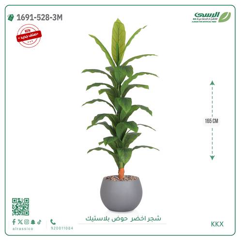  شجرة ورق أخضر وسط بمركن بلاستيك دائرى 