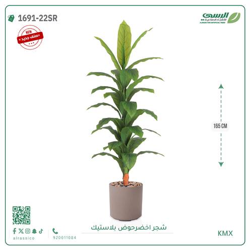 شجرة ورق أخضر وسط بمركن بلاستيك أسطواني