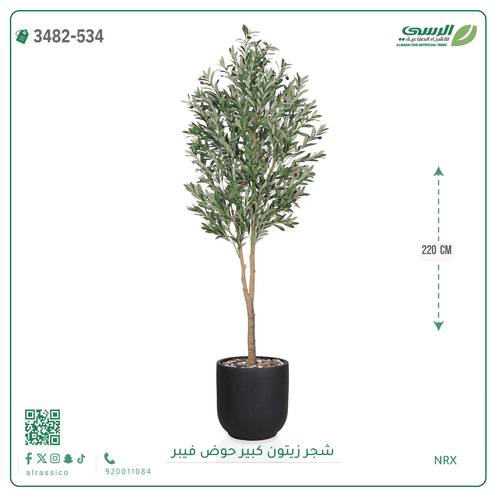 شجرة زيتون صناعية ( ارتفاع 220 سم ) حوض فيبر