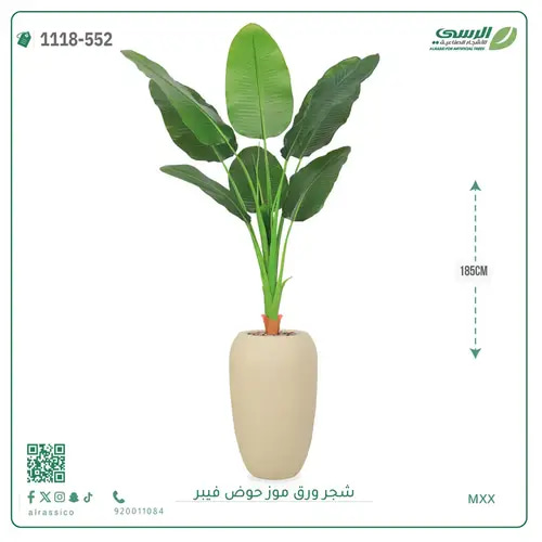 شجرة موز صناعية ( ارتفاع 185 سم ) حوض فيبر
