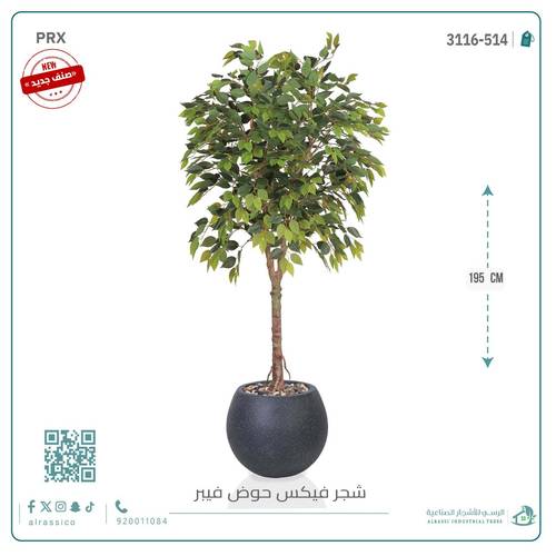 شجرة فيكس صناعية بحوض فيبر