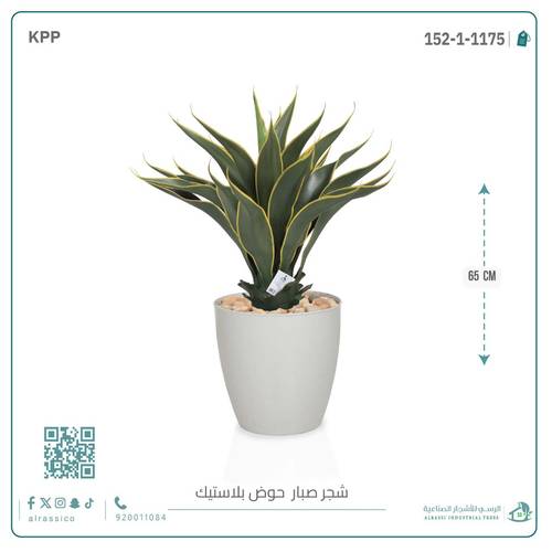 صبار ذيل الثعلب الصناعي بمركن بلاستيك اسطوانى 