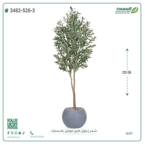 شجرة زيتون صناعية ( ارتفاع 220 سم ) حوض بلاستك