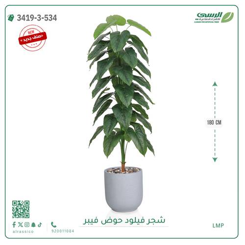 شجرة فيلود صناعية ( ارتفاع 180 سم ) حوض فيبر