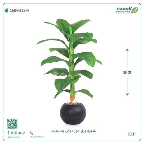 شجرة ورق موز متوسطة بمركن بلاستيك دائرى 