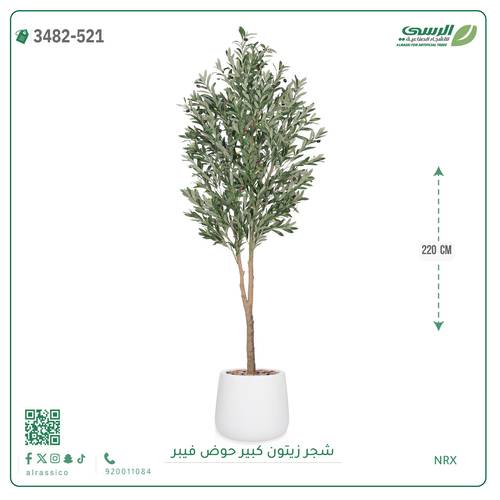 شجرة زيتون صناعية ( ارتفاع 220 سم ) حوض فيبر